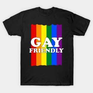 Gay Friendly T-Shirt